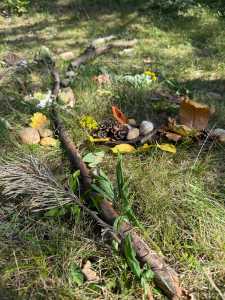 Naturmaterial auf der Wiese